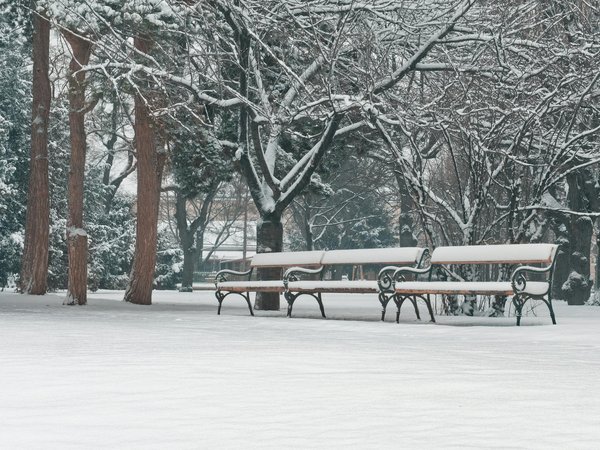 Can Structured Exercise Programs Reduce the Risk of Falls in the Elderly Population?